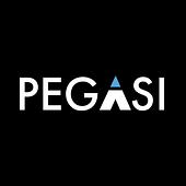 Pegasi Vietnam Big Logo