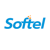 Softel Solutions Vietnam Big Logo