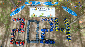 Alpaca Vietnam Headline Photo