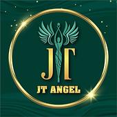 CÔNG TY TNHH BỆNH VIỆN CHUYÊN KHOA THẨM MỸ JT ANGEL Vietnam Big Logo