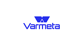 VAR META Vietnam Big Logo