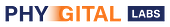 Phygital Labs Vietnam Big Logo