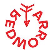 Red Arrow Limited Vietnam Big Logo