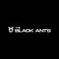 Công ty Cổ phần Công nghệ The Black Ants Vietnam Small Logo