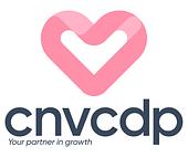 CNV Holdings Vietnam Big Logo