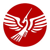 AEGONA Vietnam Big Logo