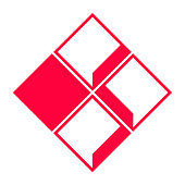 Shinnichiro VietNam Vietnam Big Logo