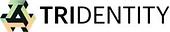 Trident Digital Tech Vietnam Big Logo