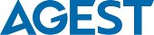 AGEST Vietnam Vietnam Big Logo