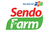 Sendo.vn Vietnam Big Logo