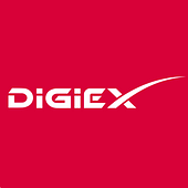 DigiEx Group Vietnam Big Logo