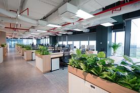 FBVN Office - Software Development Division