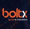 Bolt Tech Vietnam Small Logo