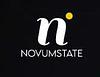 Novumstate GmbH Vietnam Small Logo