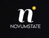 Novumstate GmbH Vietnam Small Logo