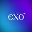 CÔNG TY TNHH EXO TECHNOLOGY GLOBAL Vietnam Small Logo