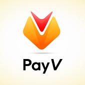 Công ty TNHH Công nghệ PAYV Vietnam Big Logo