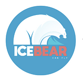 ICEBEAR Vietnam Big Logo