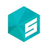 SalesNow Co., Ltd. Vietnam Big Logo