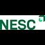 New Era Securities Co., Ltd Vietnam Small Logo