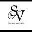 Công ty TNHH Stravo Vietnam Vietnam Small Logo