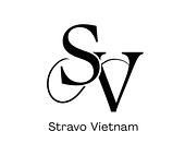 Công ty TNHH Stravo Vietnam Vietnam Big Logo