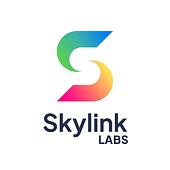 Skylink Labs Vietnam Big Logo