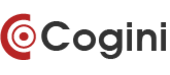 Cogini Vietnam Big Logo