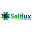 Saltlux INC. Vietnam Small Logo