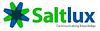 Saltlux INC. Vietnam Small Logo