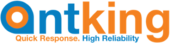 Antking Vietnam Big Logo