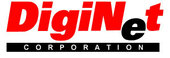 DigiNet Corporation Vietnam Big Logo