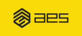 AES Vietnam Vietnam Big Logo