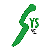 SYS Việt Nam Vietnam Big Logo