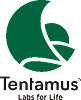 TENTAMUS VIỆT NAM Vietnam Small Logo