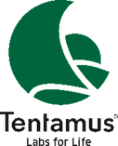 TENTAMUS VIỆT NAM Vietnam Big Logo