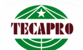 Tecapro Vietnam Big Logo