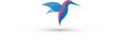B.G.N Multiad Vietnam Big Logo
