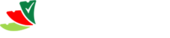 Chọn Vé Vietnam Big Logo