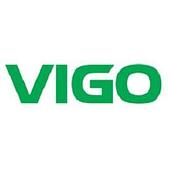 VIGO Online Vietnam Big Logo