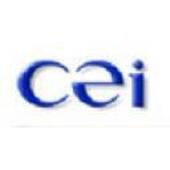 CEI International Investment Vietnam Big Logo