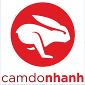 ICADO Vietnam Big Logo