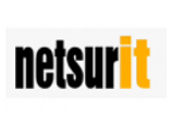 Netsurit Vietnam Big Logo