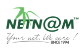 NetNam Corporation - Branch in HCMC Vietnam Big Logo