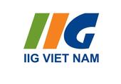 IIG Vietnam Vietnam Big Logo