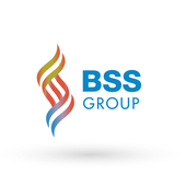 BSS Group Vietnam Big Logo