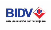 BIDV Vietnam Big Logo