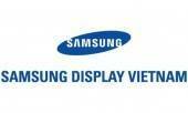 Samsung Display Vietnam Vietnam Big Logo