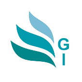 GISOFT Vietnam Big Logo