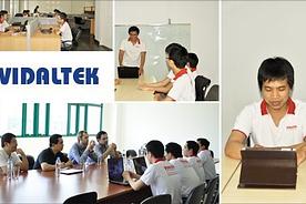 Life at Vidaltek